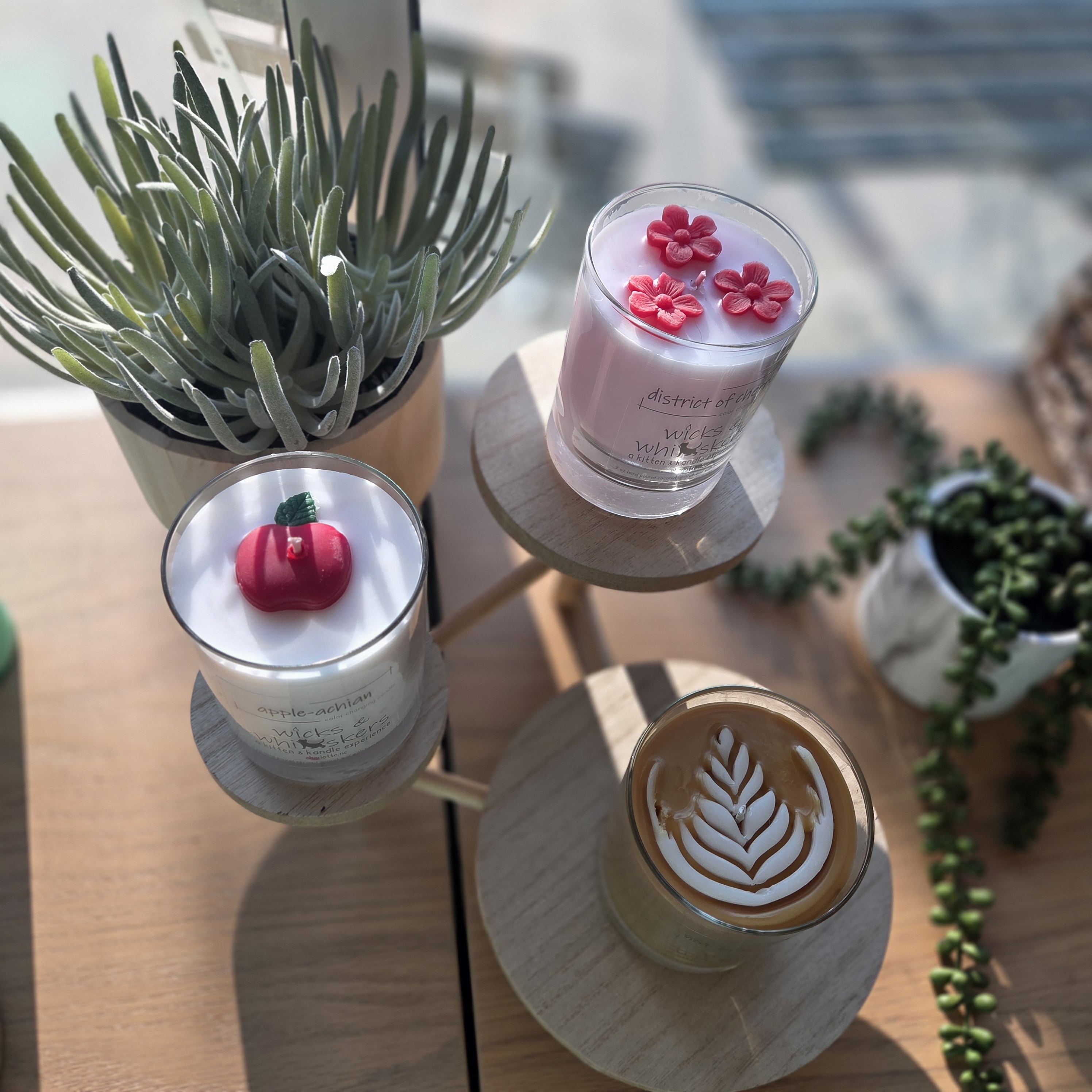 Top down view of rice, cardamom, and star anise on gray fabric.